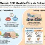 Katzenschutz in Antigua verbessert mit neuem Protokoll
