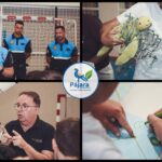 Weltumwelttag in Pájara: Schüler feiern mit Workshops