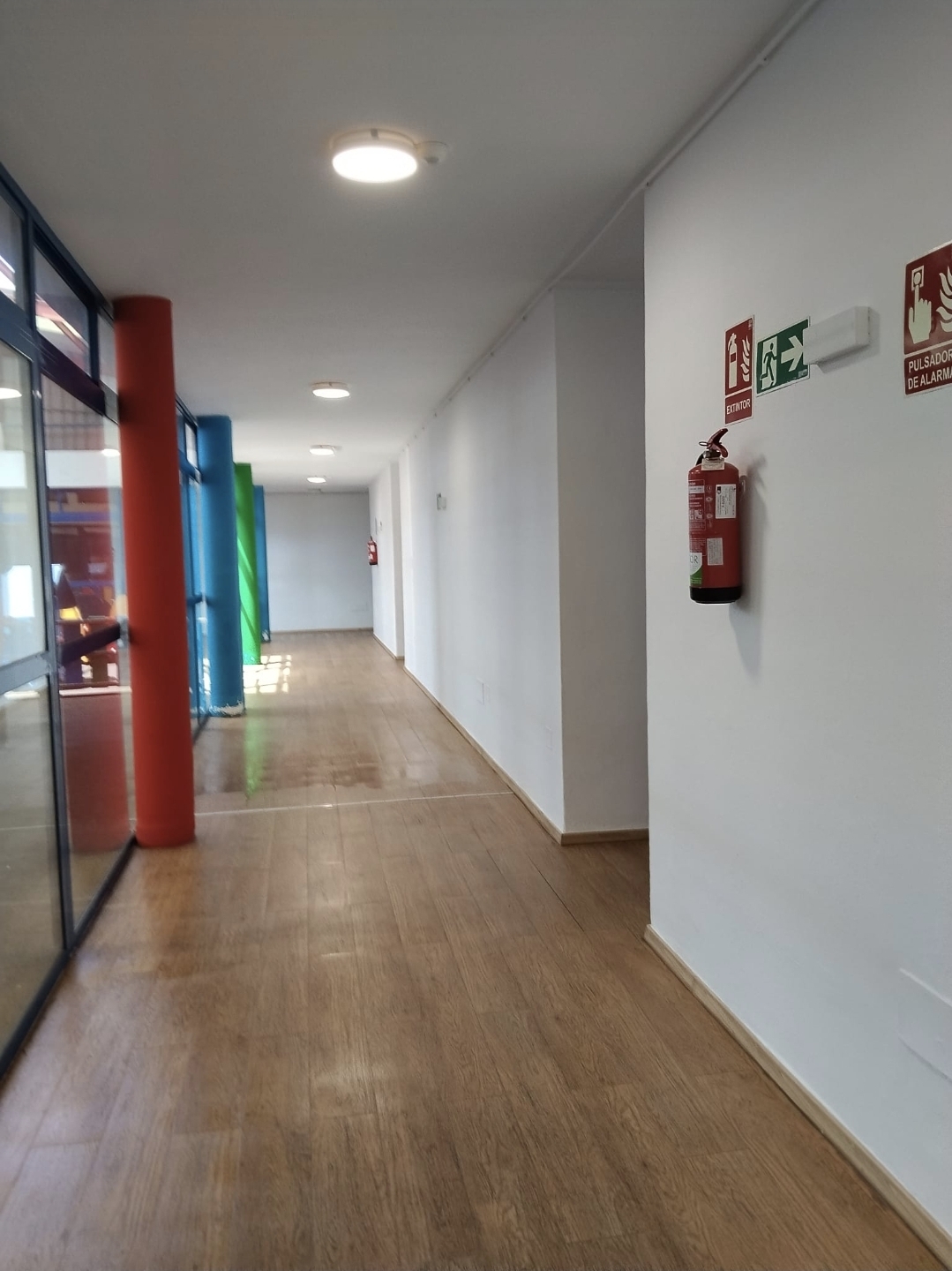 Durchführung und Organisation