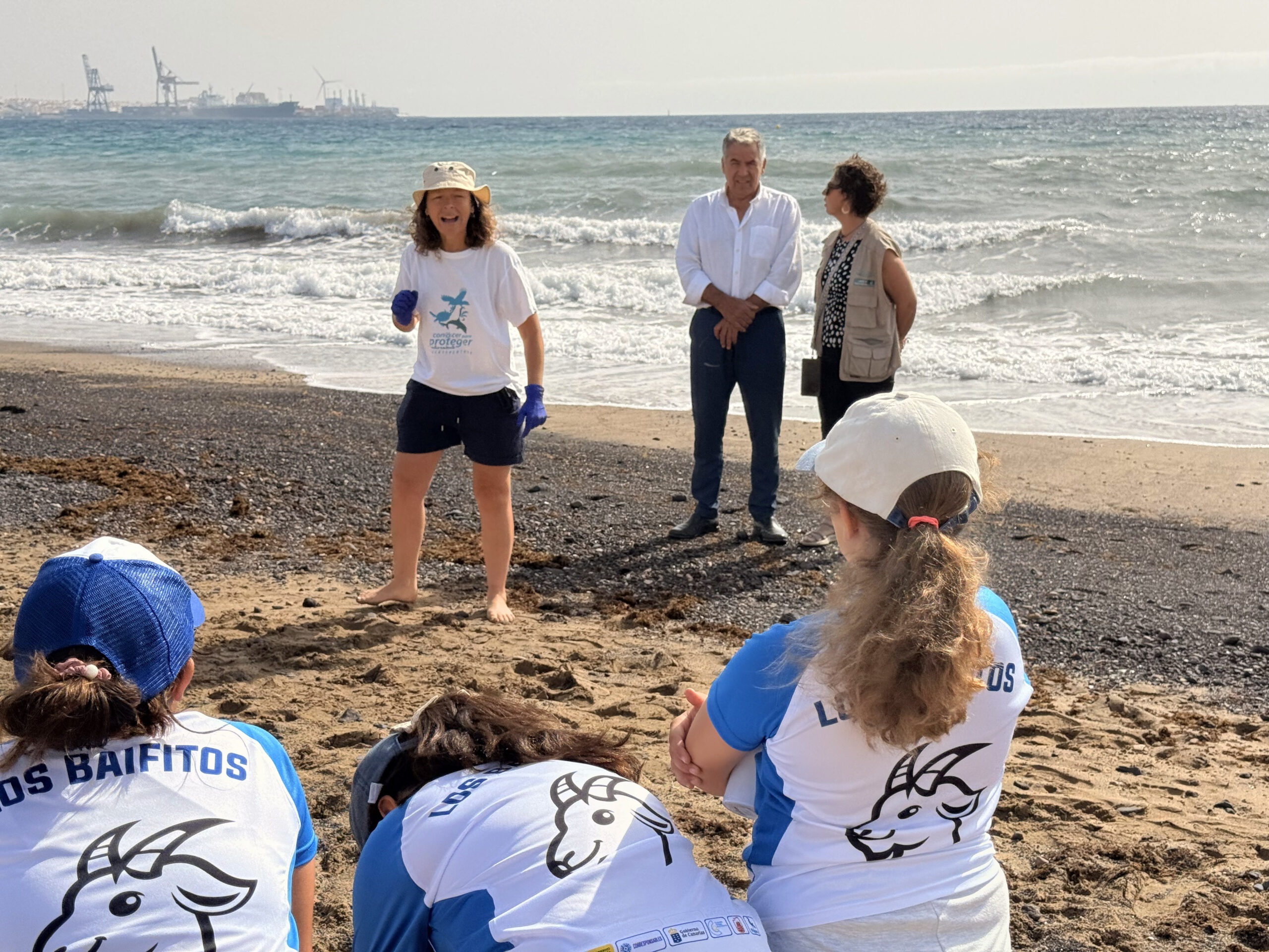 Gesundung der Schildkröte Caretta caretta