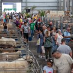 Fördergelder für Landwirtschaft auf Fuerteventura ab nächste Woche