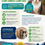 Pájara fördert verantwortungsvolle Katzenhaltung zum Schutz der Natur Pájara fördert verantwortungsvolle Katzenhaltung zum Schutz der Natur