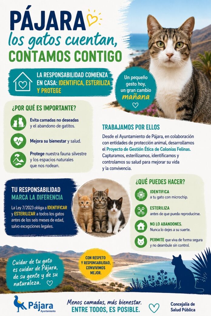 Pájara fördert verantwortungsvolle Katzenhaltung zum Schutz der Natur