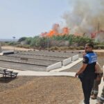 Brand in Parque Holandés unter Kontrolle: Mehrere Feuerwehrteams im Einsatz Brand in Parque Holandés unter Kontrolle: Mehrere Feuerwehrteams im Einsatz
