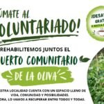 Freiwillige helfen beim Bio-Garten in La Oliva