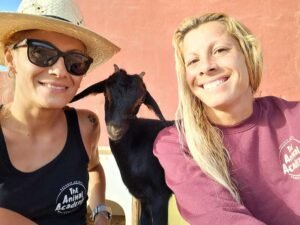 Freiwilligenprogramm auf Fuerteventura: Tiere betreuen und kostenlos wohnen 