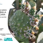Cochinilla Mexicana: Schutz der Tunera-Pflanzen auf Fuerteventura