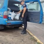 Illegales Sammeln von Miesmuscheln in Costa Calma aufgedeckt