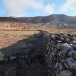 Fuerteventura plant Schutzpläne für Vogelgebiete